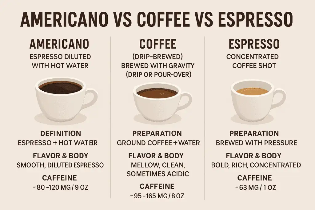 Americno vs coffee vs espresso: infographic