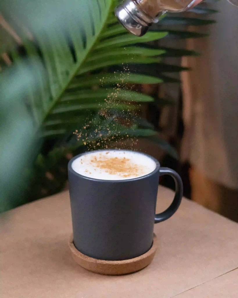 cinnamon cappuccino recipe